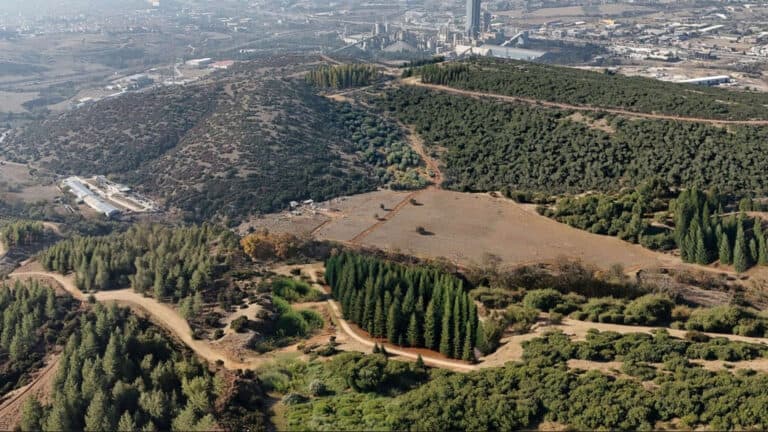 Απάτη στη Θεσσαλονίκη: 100.000 ευρώ από κήπο 76χρονης