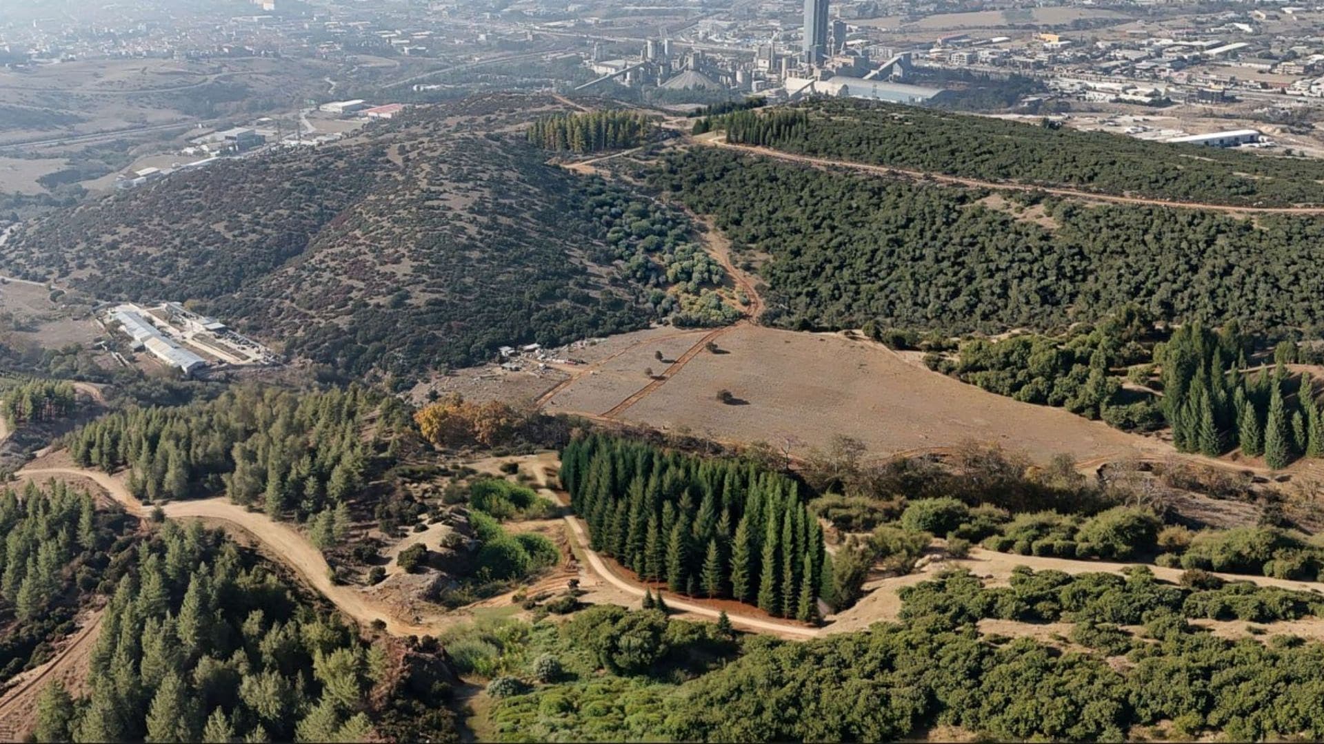 Απάτη στη Θεσσαλονίκη: 100.000 ευρώ από κήπο 76χρονης