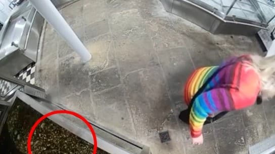 Η ακτιβίστρια που έκλεψε αστακό από εστιατόριο στην Αγγλία