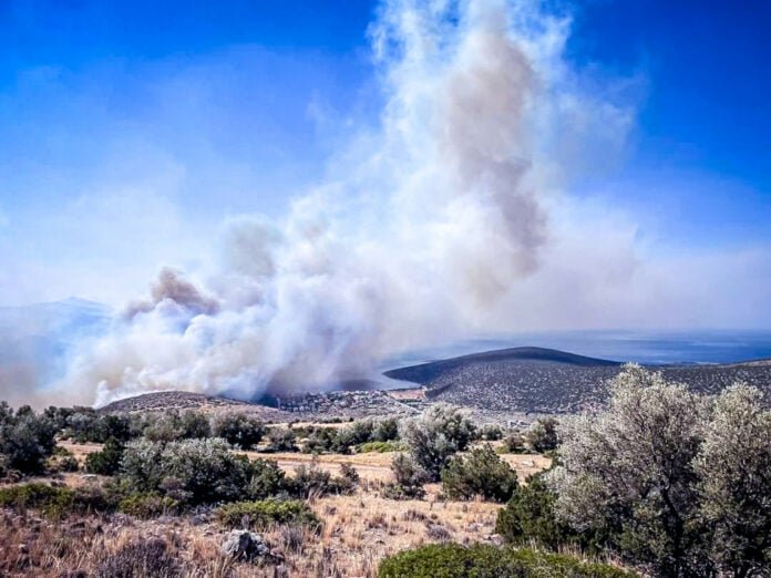 Εκτός ελέγχου η φωτιά στην Χίο: Μήνυμα του 112 για απομάκρυνση κατοίκων