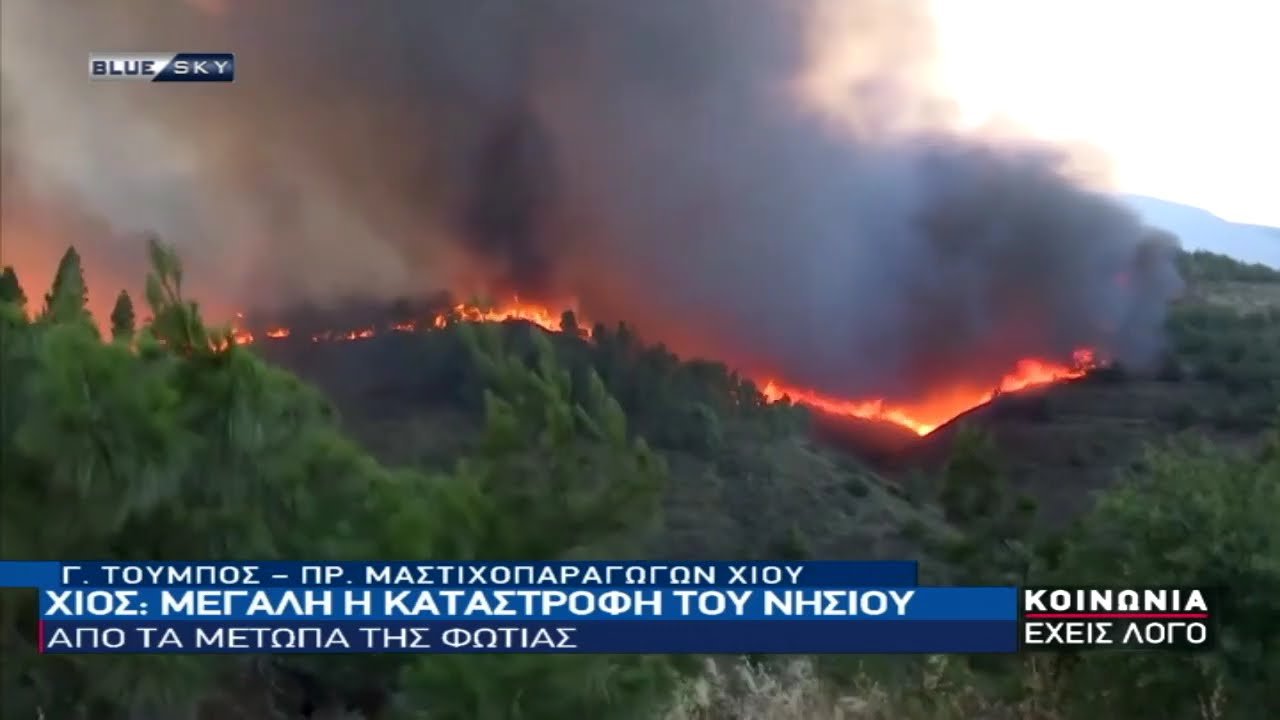 Ο Πρ. Μαστιχοπαραγωγών Χίου στο BLUESKY για την καταστροφή στο νησί από τις πυρκαγιές