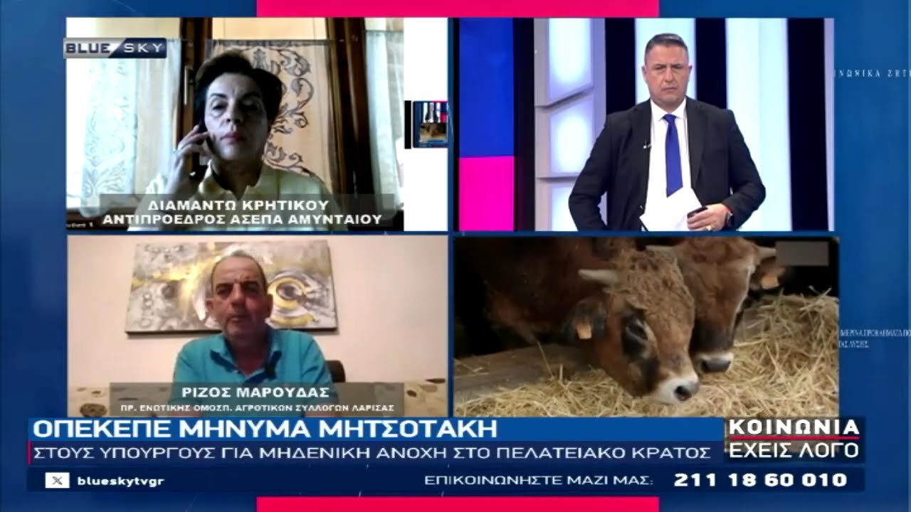 H Δ. Κρητικού και ο Ρίζος Μαρούδας στο BLUESKY για την υπόθεση του ΟΠΕΚΕΠΕ