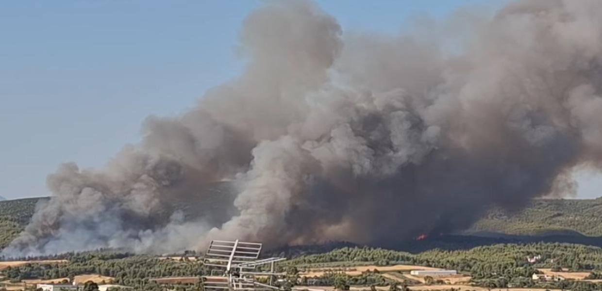 Μεγάλη πυρκαγιά στον Ωρωπό: Μήνυμα του 112 για εκκένωση οικισμού