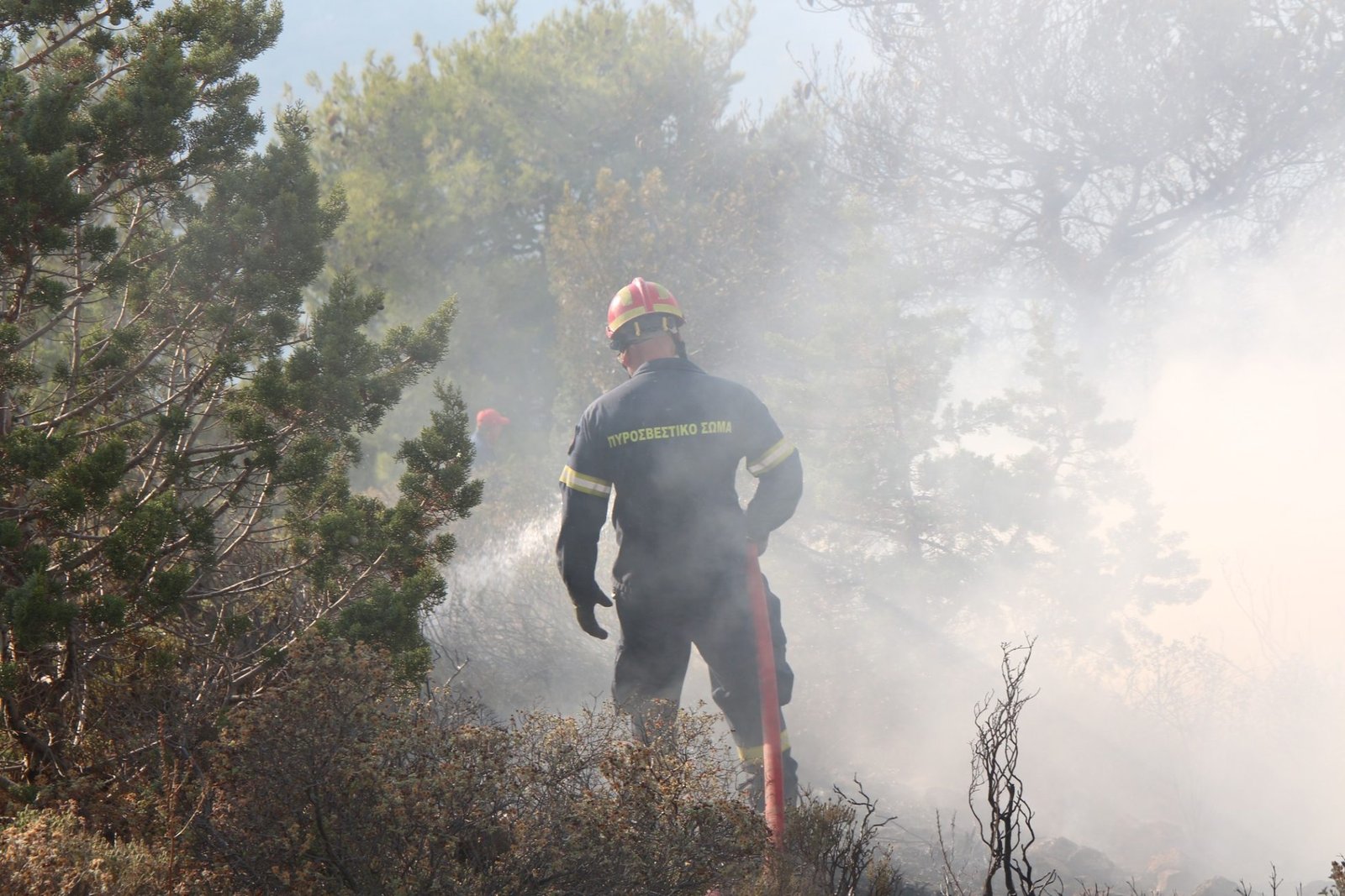 Βελτιωμένη η εικόνα της πυρκαγιάς στην Εύβοια: Συνεχίζεται η μάχη με τις φλόγες