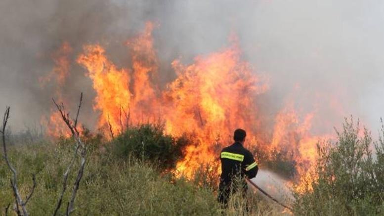 Πυρκαγιά στο Γαρδίκι Θεσπρωτίας: Συνεχίζουν να επιχειρούν οι πυροσβεστικές δυνάμεις