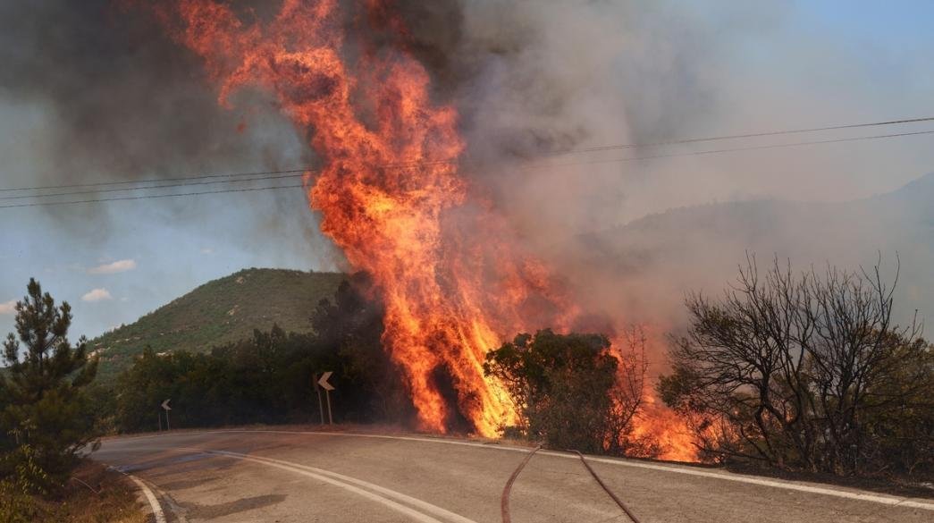 Πυρκαγιά σε δασική έκταση στον Καραβάδο Κεφαλονιάς: Μήνυμα του 112