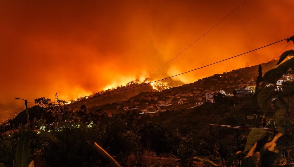 Στο έλεος των πυρκαγιών η Ισπανία: Πάνω από 3.700.000 στρέμματα έχουν γίνει στάχτη