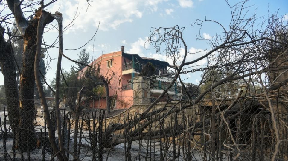 Πυρκαγιές: Ολοκληρώθηκαν οι αυτοψίες σε Αχαΐα, Πρέβεζα, Άρτα, Ζάκυνθο