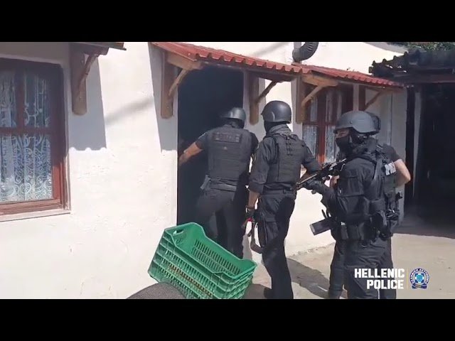 Συνελήφθη 62χρονος για παράνομη υλοτομία κακουργηματικού χαρακτήρα