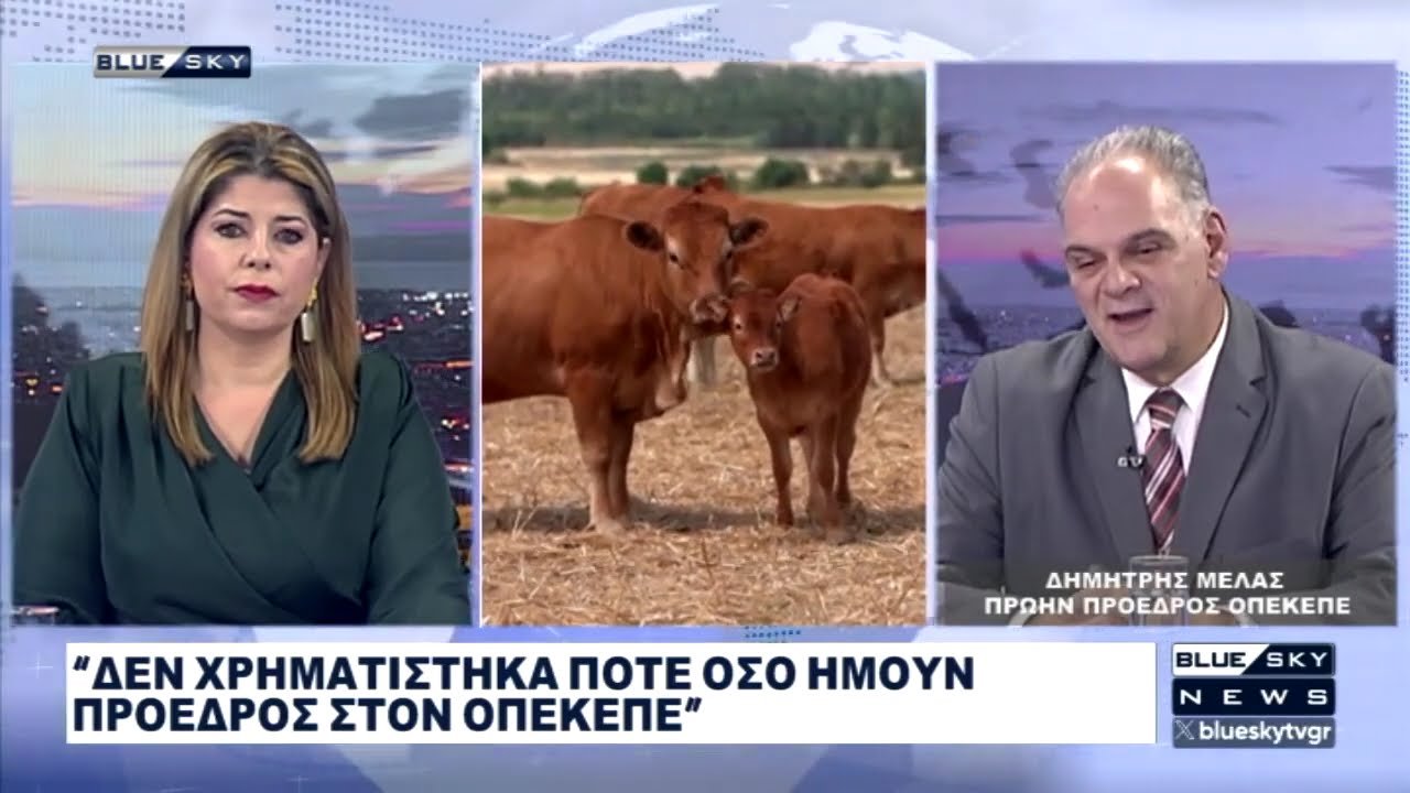 Πρ. Πρόεδρος ΟΠΕΚΕΠΕ Δ. Μελάς στο BLUE SKY: Δεν χρηματίστηκα ποτέ όσο ήμουν Πρόεδρος