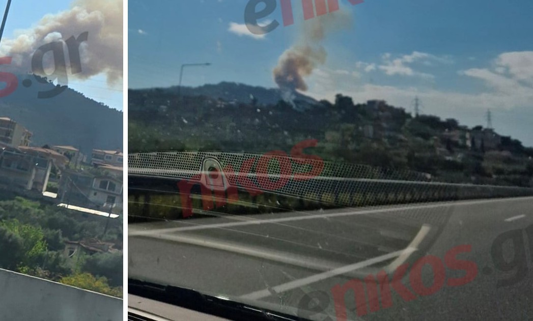 Φωτιά δασική έκταση Άμπελος Ακράτα Αχαΐας πυροσβέστες